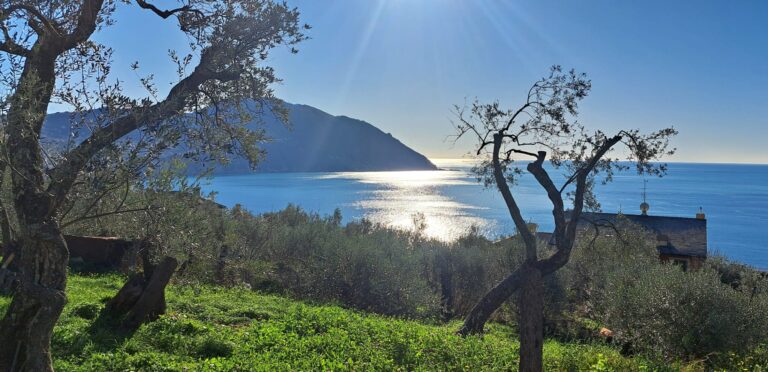 Da Sori a Camogli (GE)